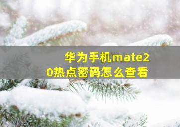 华为手机mate20热点密码怎么查看