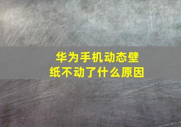 华为手机动态壁纸不动了什么原因