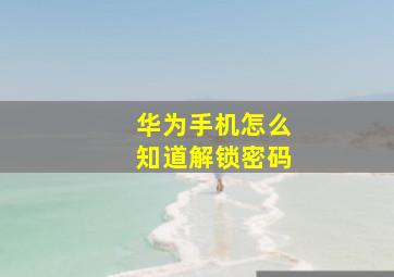 华为手机怎么知道解锁密码