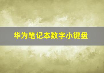 华为笔记本数字小键盘