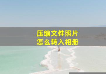 压缩文件照片怎么转入相册