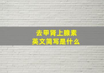 去甲肾上腺素英文简写是什么