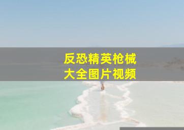 反恐精英枪械大全图片视频