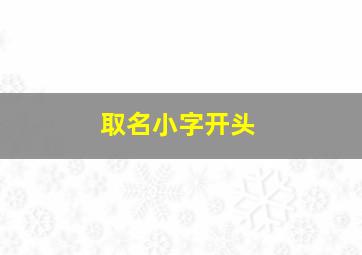 取名小字开头