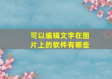 可以编辑文字在图片上的软件有哪些