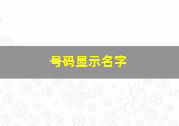 号码显示名字