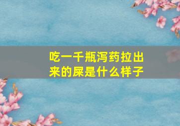 吃一千瓶泻药拉出来的屎是什么样子