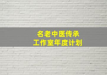 名老中医传承工作室年度计划