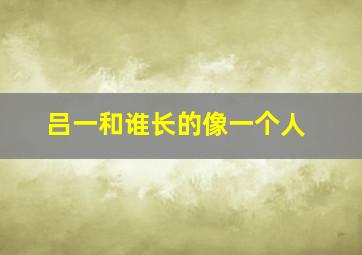 吕一和谁长的像一个人