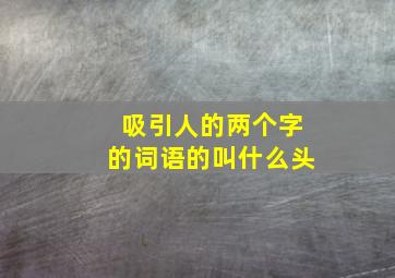 吸引人的两个字的词语的叫什么头