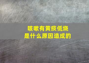 咳嗽有黄痰低烧是什么原因造成的