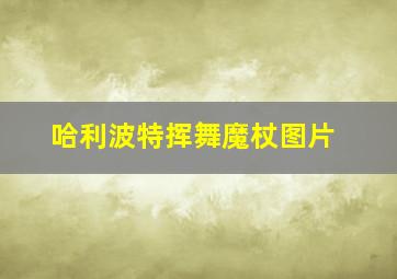 哈利波特挥舞魔杖图片