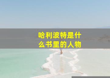 哈利波特是什么书里的人物