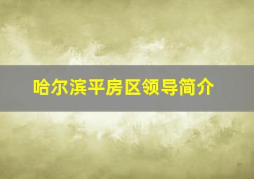 哈尔滨平房区领导简介