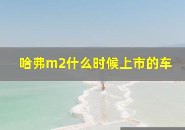 哈弗m2什么时候上市的车