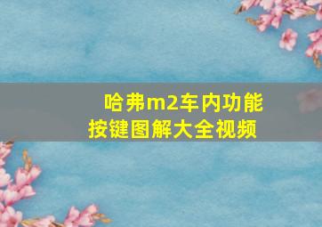 哈弗m2车内功能按键图解大全视频