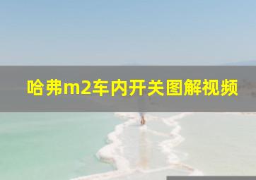 哈弗m2车内开关图解视频