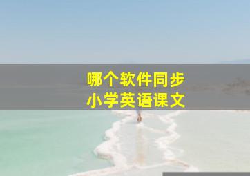 哪个软件同步小学英语课文