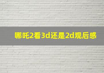 哪吒2看3d还是2d观后感