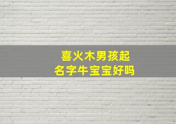 喜火木男孩起名字牛宝宝好吗