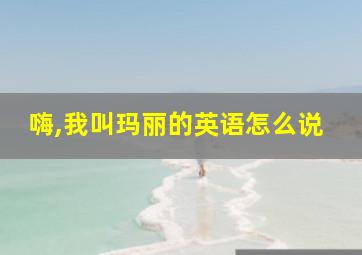 嗨,我叫玛丽的英语怎么说