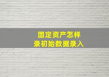 固定资产怎样录初始数据录入