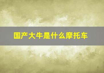 国产大牛是什么摩托车