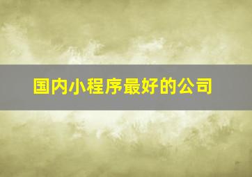 国内小程序最好的公司