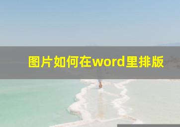 图片如何在word里排版