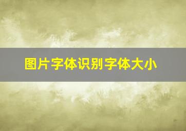 图片字体识别字体大小