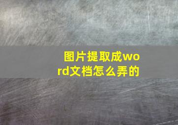 图片提取成word文档怎么弄的