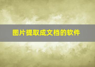 图片提取成文档的软件