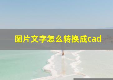 图片文字怎么转换成cad