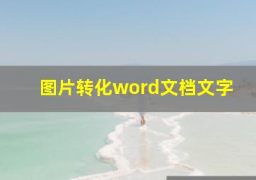 图片转化word文档文字