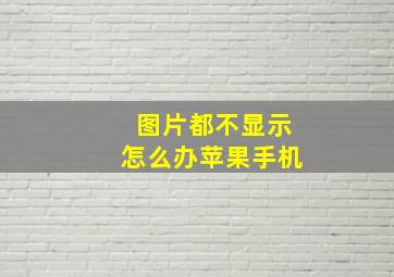 图片都不显示怎么办苹果手机