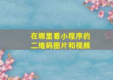 在哪里看小程序的二维码图片和视频