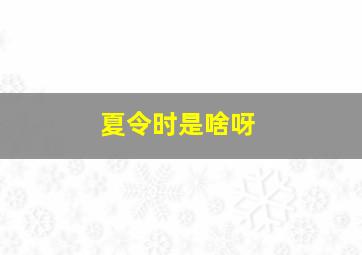 夏令时是啥呀