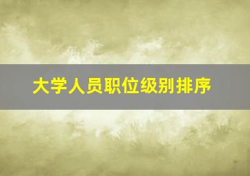 大学人员职位级别排序