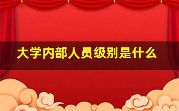 大学内部人员级别是什么