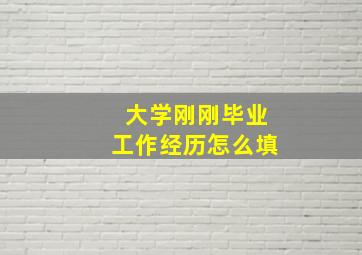 大学刚刚毕业工作经历怎么填