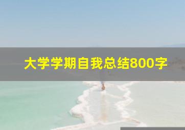 大学学期自我总结800字