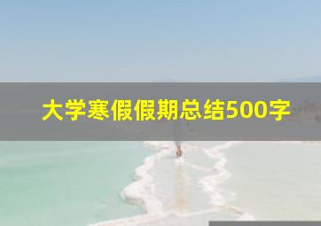 大学寒假假期总结500字