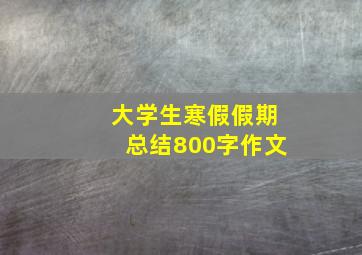 大学生寒假假期总结800字作文