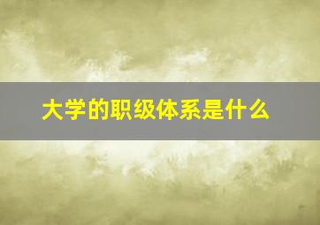 大学的职级体系是什么