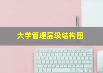 大学管理层级结构图