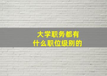 大学职务都有什么职位级别的