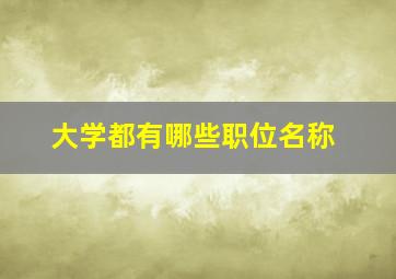 大学都有哪些职位名称