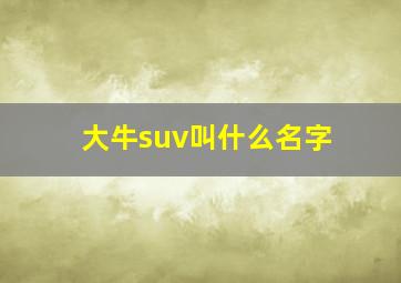 大牛suv叫什么名字