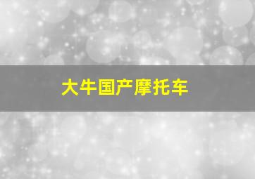 大牛国产摩托车