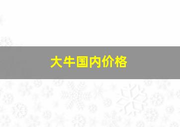 大牛国内价格